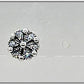 Earring - #25516/2