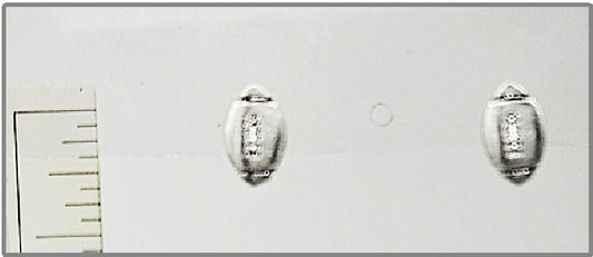 Earring - #25555/1