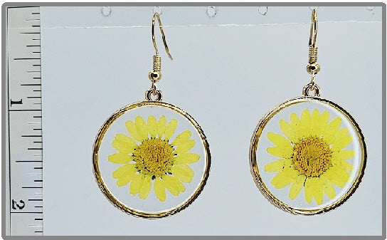 Earring - #25705